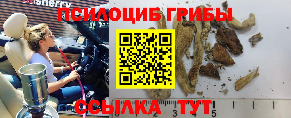 Псилоцибиновые грибы Psilocybine cubensis  сколько стоит  Назарово  Вход с VPN 